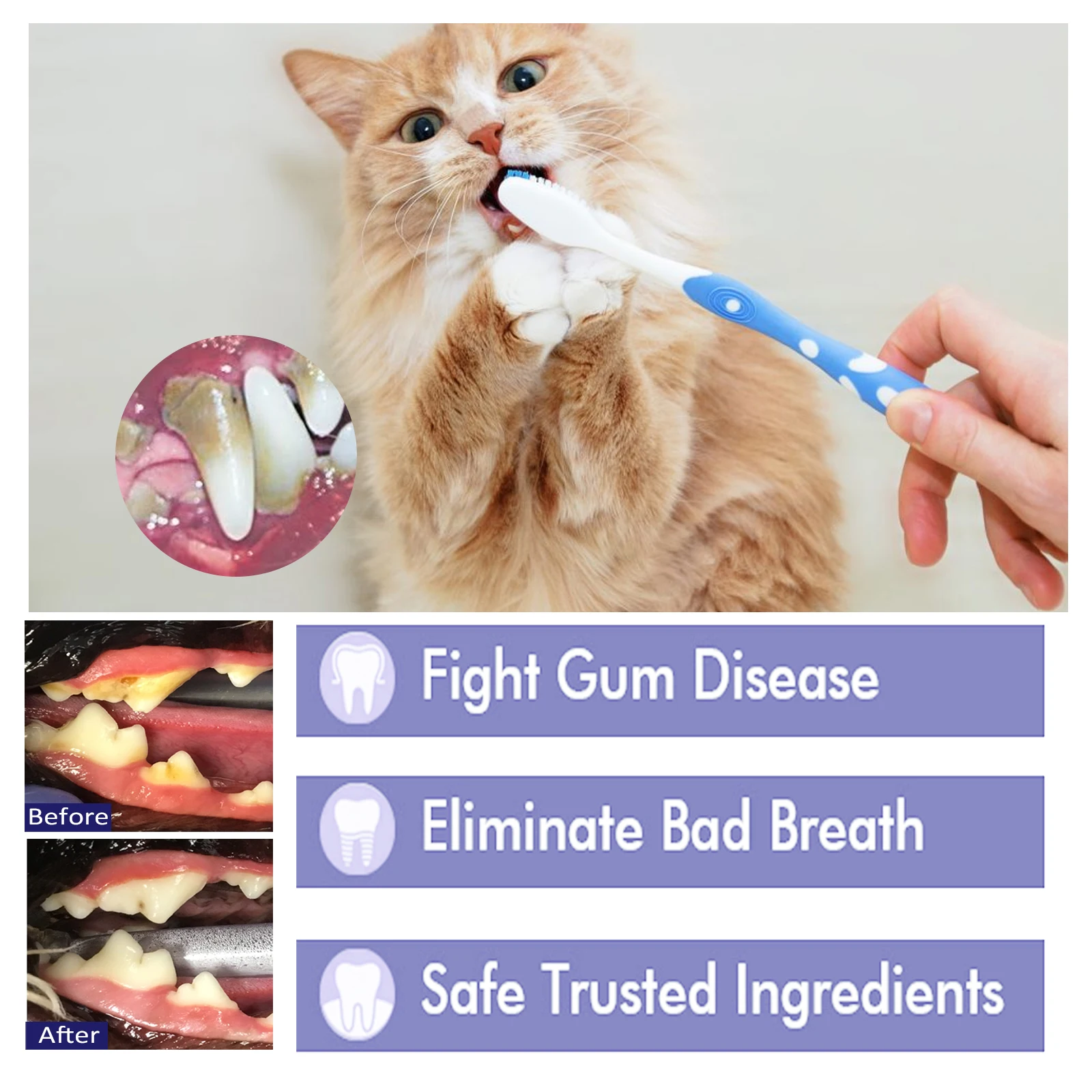 Dogs Cats Pets V34 Cleaning Toothpaste Chiens Things Goods Cats Small Breeds Dental Stone Teeth Clean Fresh breath Pets Supplies