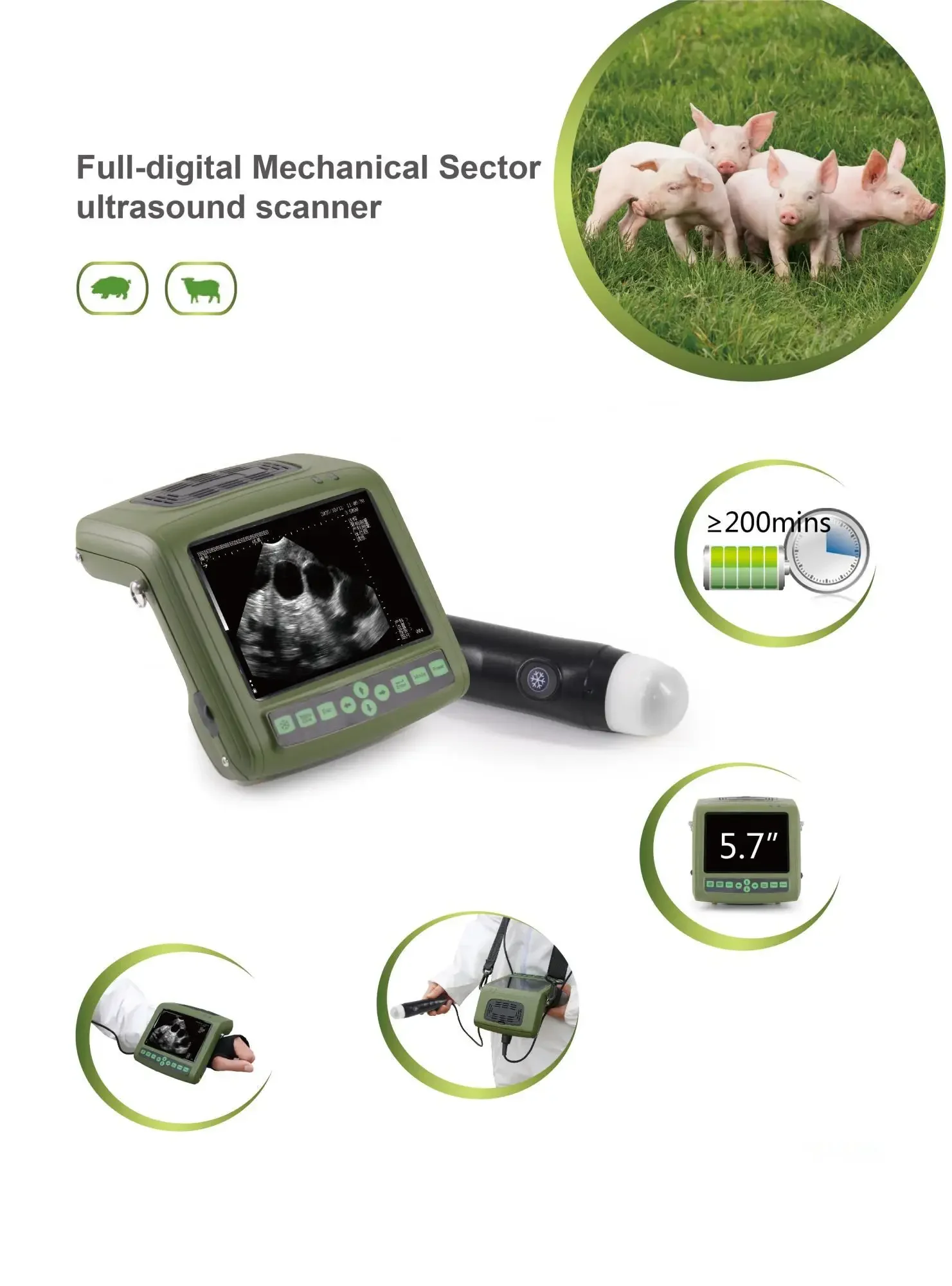80 Element mechanischer Sektor Farm Schaf Rinder Pferd Schwangerschaft scan Handheld Veterinär Ultraschall