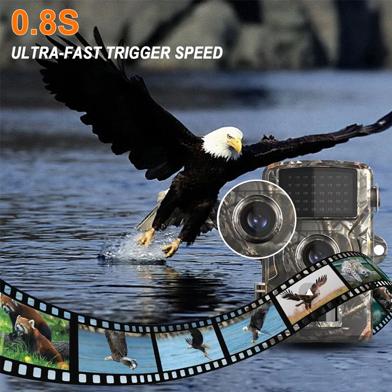 الحياة البرية كاميرات تعقب 16MP 1080P الأشعة تحت الحمراء للرؤية الليلية كاميرا الصيد البرية مقاوم للماء في الهواء الطلق الحركة المنشط تتبع الصورة