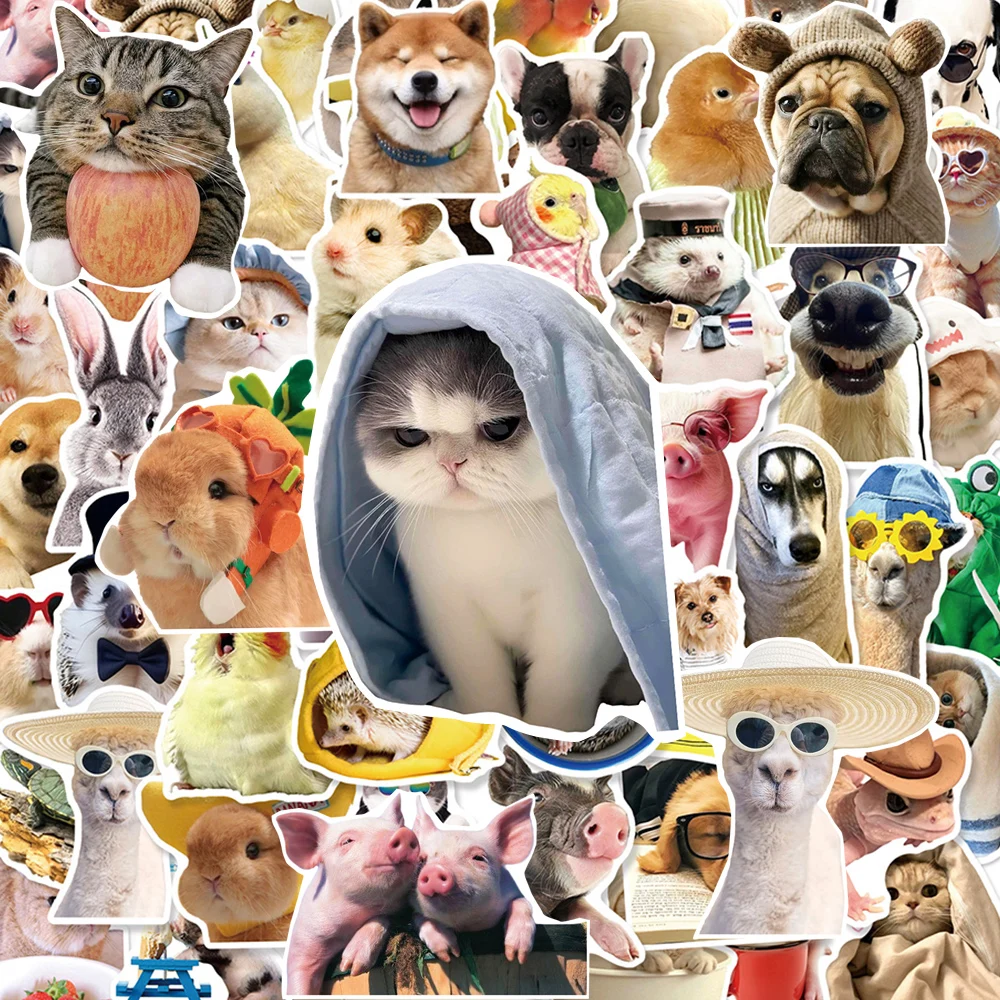 

10/30/50pcs Cute Animal MEME Graffiti Stickers Funny Toy Decals Decorative Skateboard Phone Notebook Car Kawaii Sticker for Gift