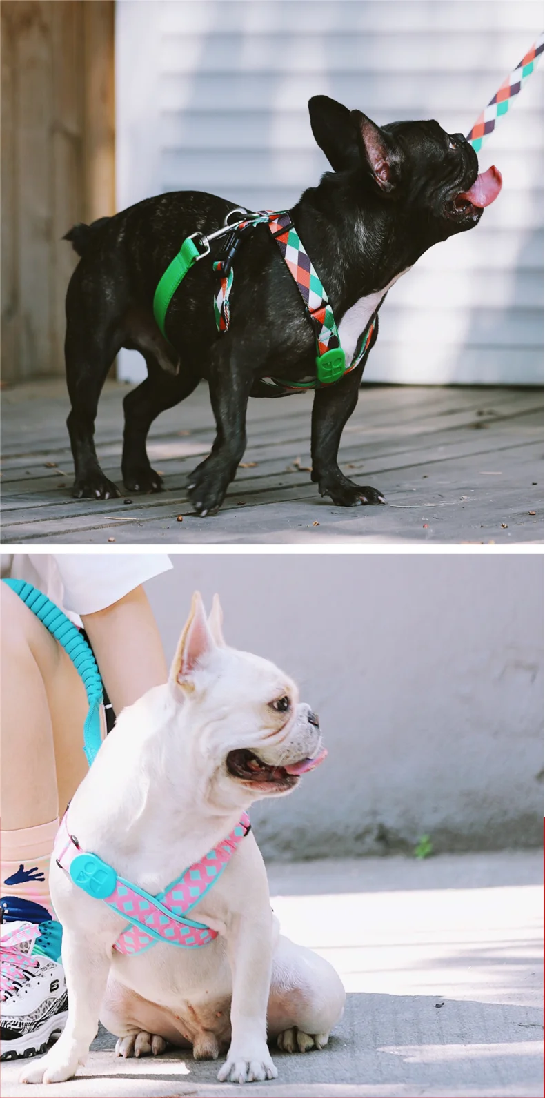 Fashion Dog X Type Adjustable Comfortable Safety Soft Harnesses Cute Large Dog Anti-break Vest