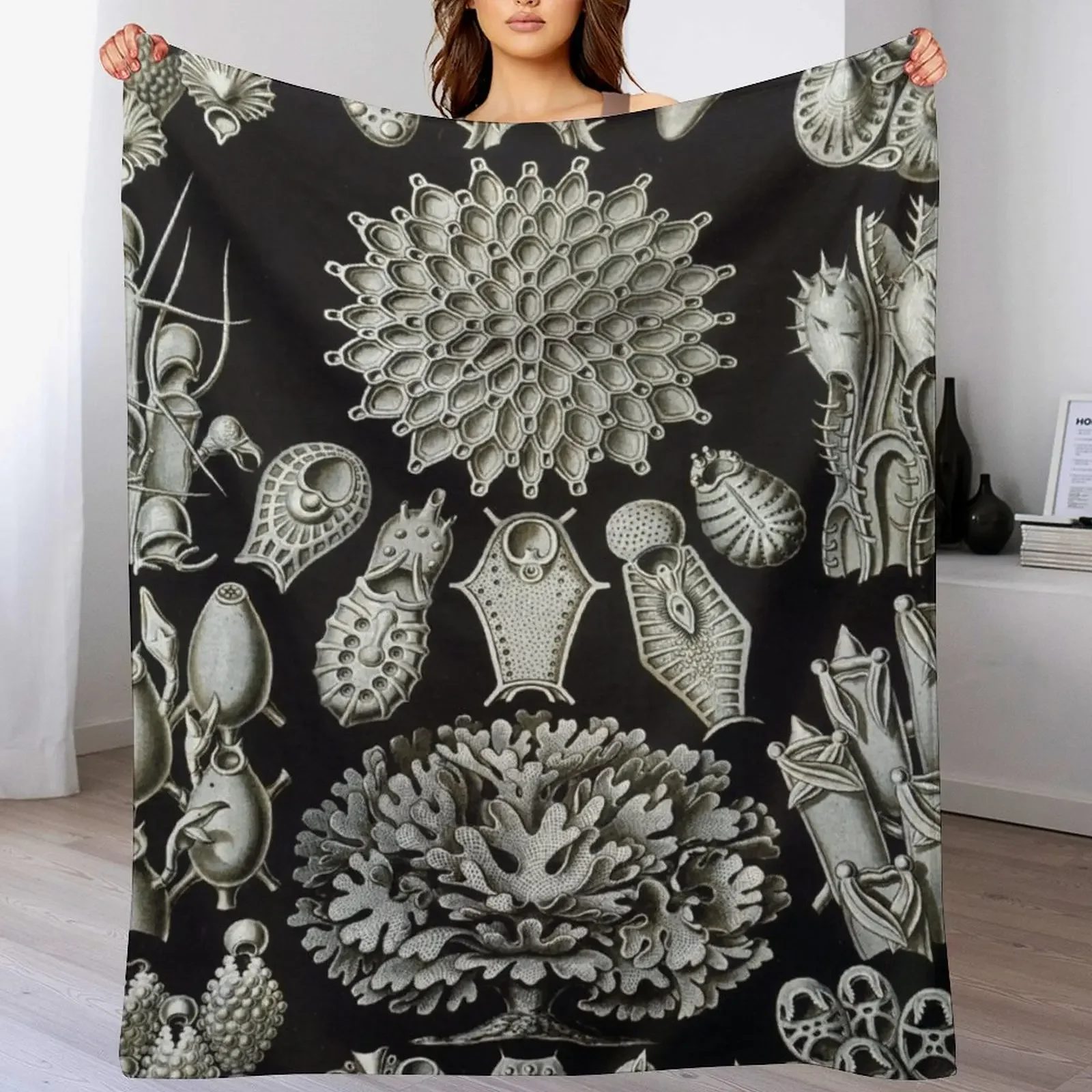 Haeckel Bryozoa 33 Drawing Throw Blanket Warm Comfortable Blanket Gift for Parents Friends