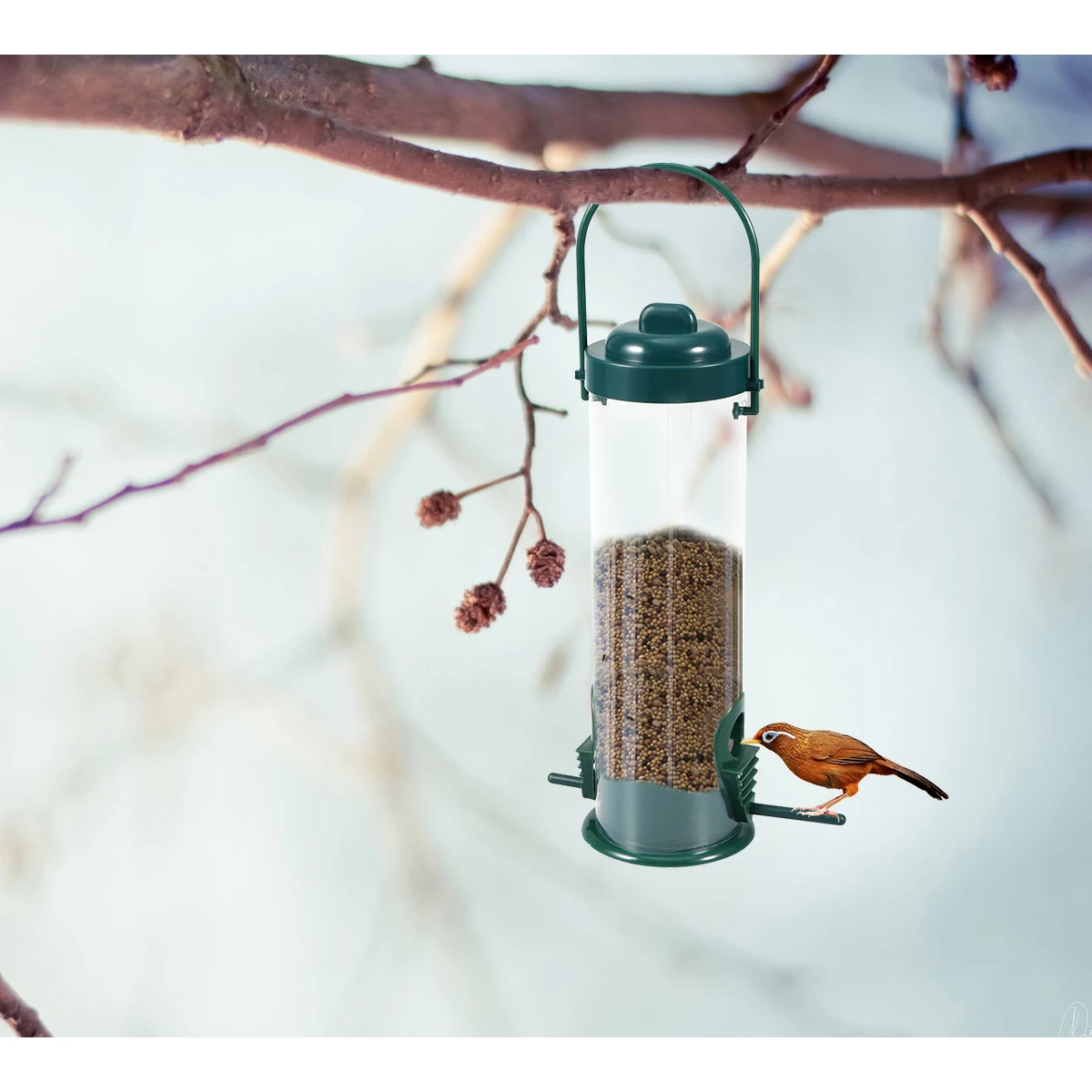 

Plastic Bird Feeder Durable Transparent Watch Wild Birds Outdoor Hanging Squirrel Proof Parrot Feeding Tool Pet Supplies Gift