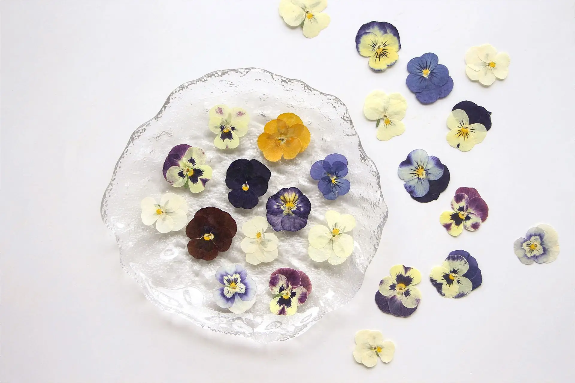 5 Packs of Cornflower Pressed Flowers DIY Real Flower Plant Specimens Dried Flower Face Stickers Petal Makeup Materials Resin Bookmarks Candles Pressed Flowers