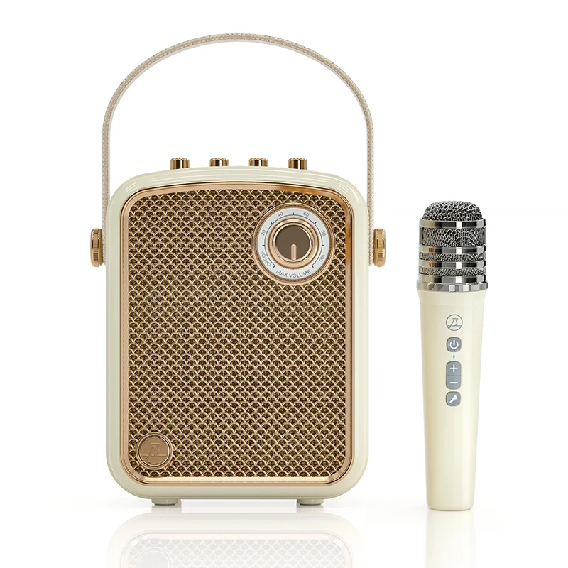 Home Use 40W Bass Portable Bluetooth Karaoke Speaker With MIC Support Multiple Input Modes