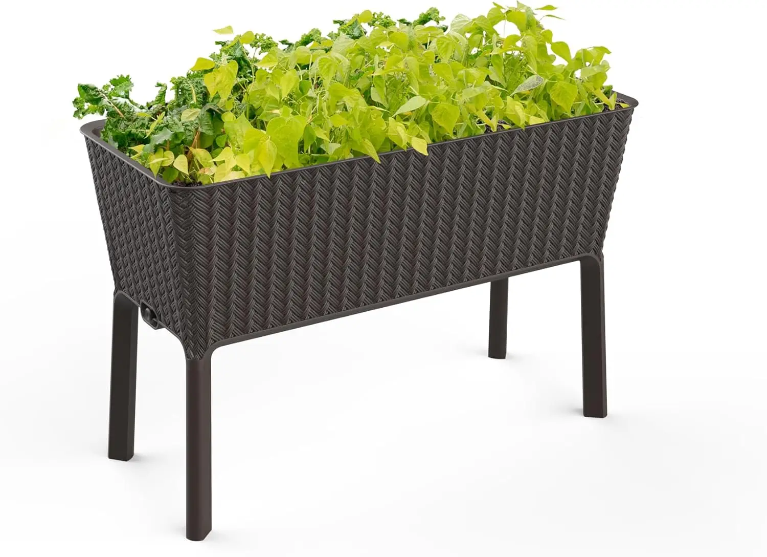 

Keter Splendor 31.7 Gallon Raised Garden Bed with Self Watering Planter Box and Drainage Plug-Perfect for Growing Fresh