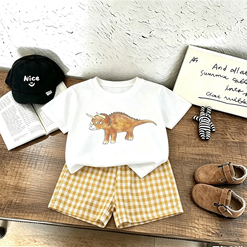 Kids Cartoon Print Tshirt Plaid Shorts Dinosaur Printed Tees Loose Versatile Shorts Casual Sports Costume Child Two Piece Set