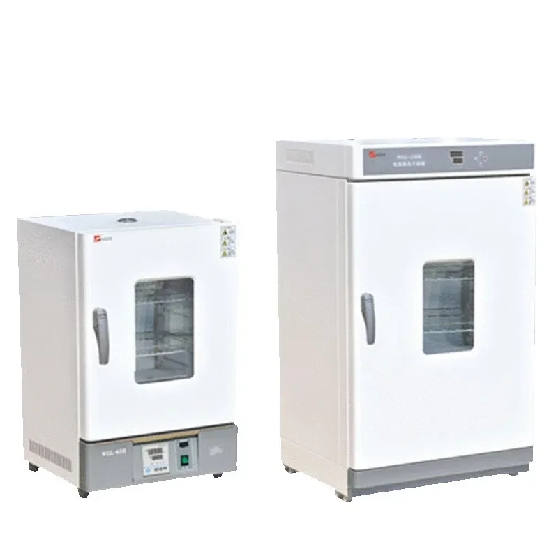 WGL/Wgll Series Laboratory Industrial 300 Degree Oven Electro-Thermostatic Blast Oven