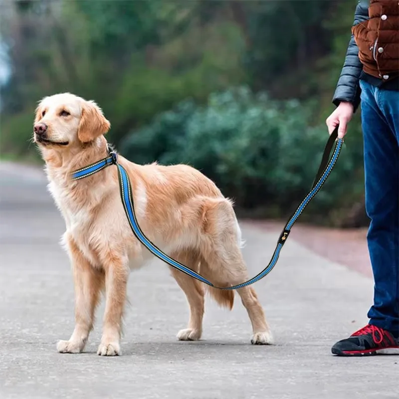 Training Dog Choking Rope Leash 2 in 1 Lead Collar 150cm P-Shaped Chain Slip Lead Control Leash for Small Large Competition Dogs