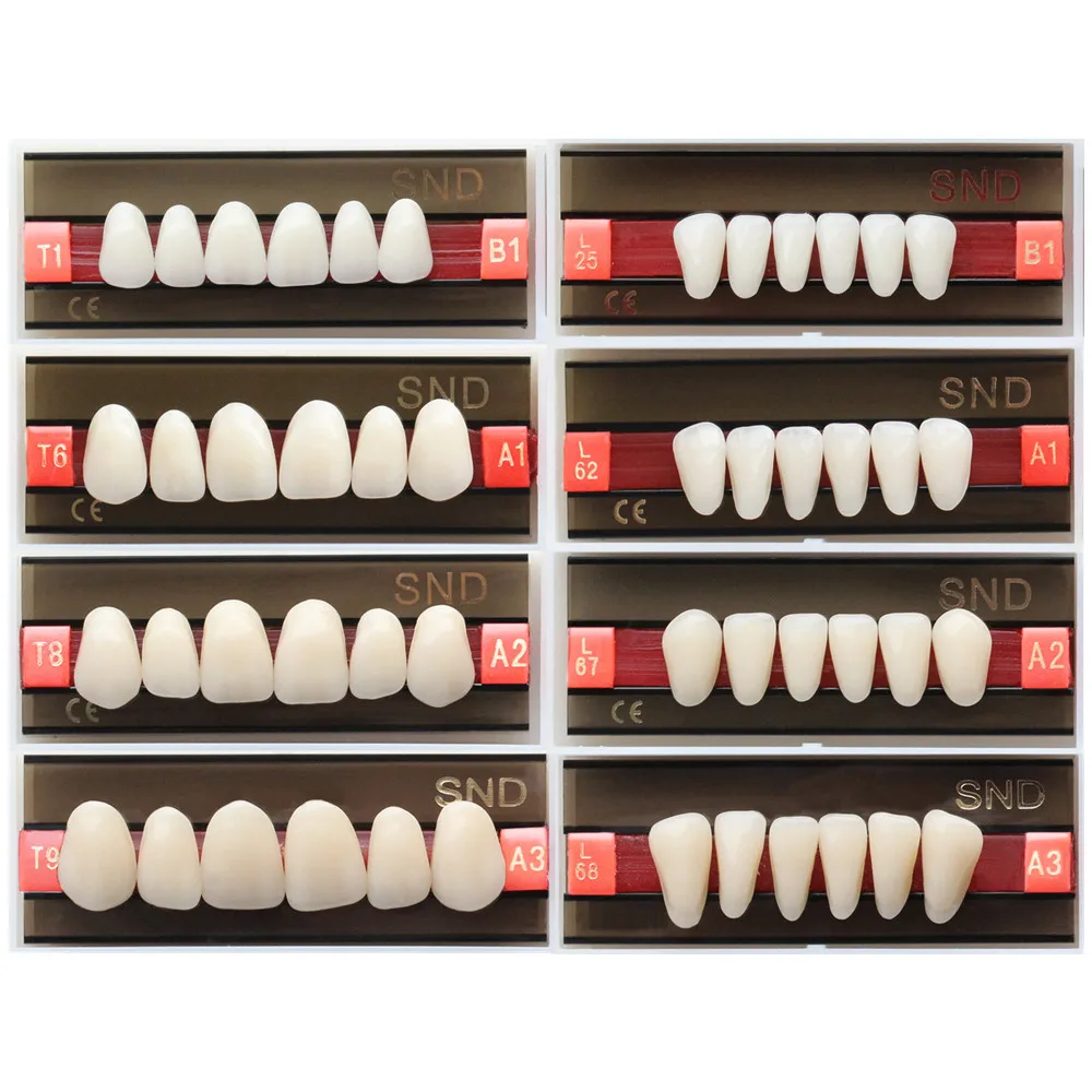 B1 A1 A2 A3 Shade Dental Acrylic Synthetic Resin Teeth Whitening Denture Fake Oral Care False Upper Lower Anterior Posterior