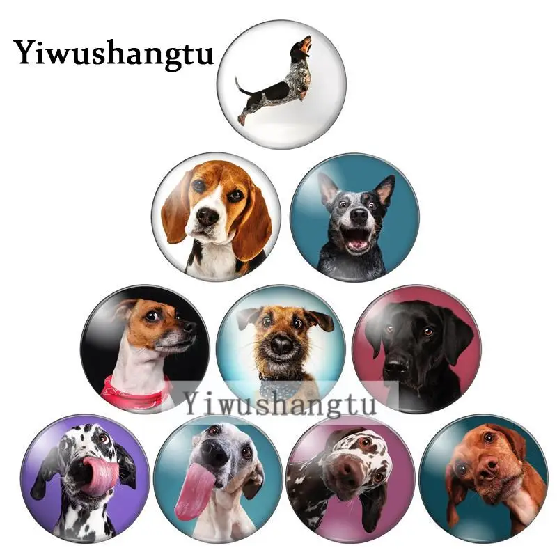 

Funny dog cute animal mankind‘s friends 10mm/12mm/18mm/20mm Round photo glass cabochon demo flat back Making findings ZB0543