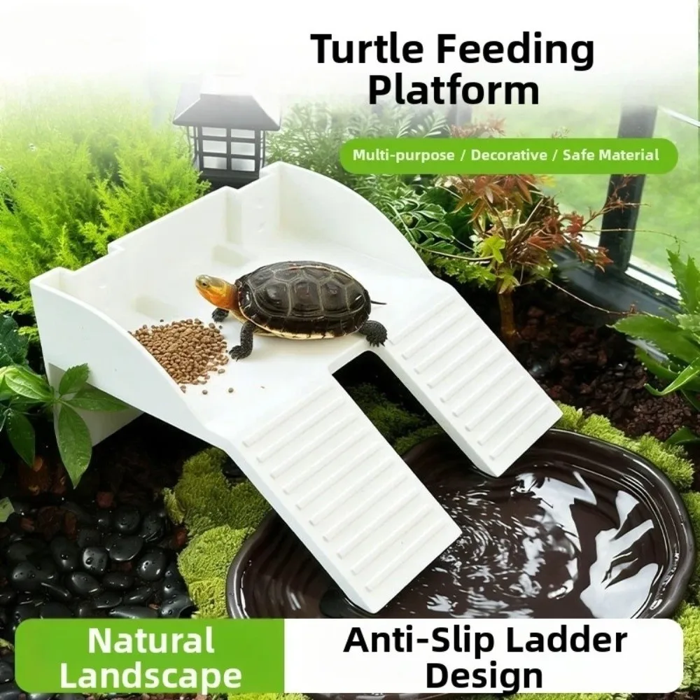 PlasticTurtleBaskingPlatformDoubleLadderwithSuctionCupsTurtleClimbingRampAnti-SlipBaseWearResistant-AliExpress