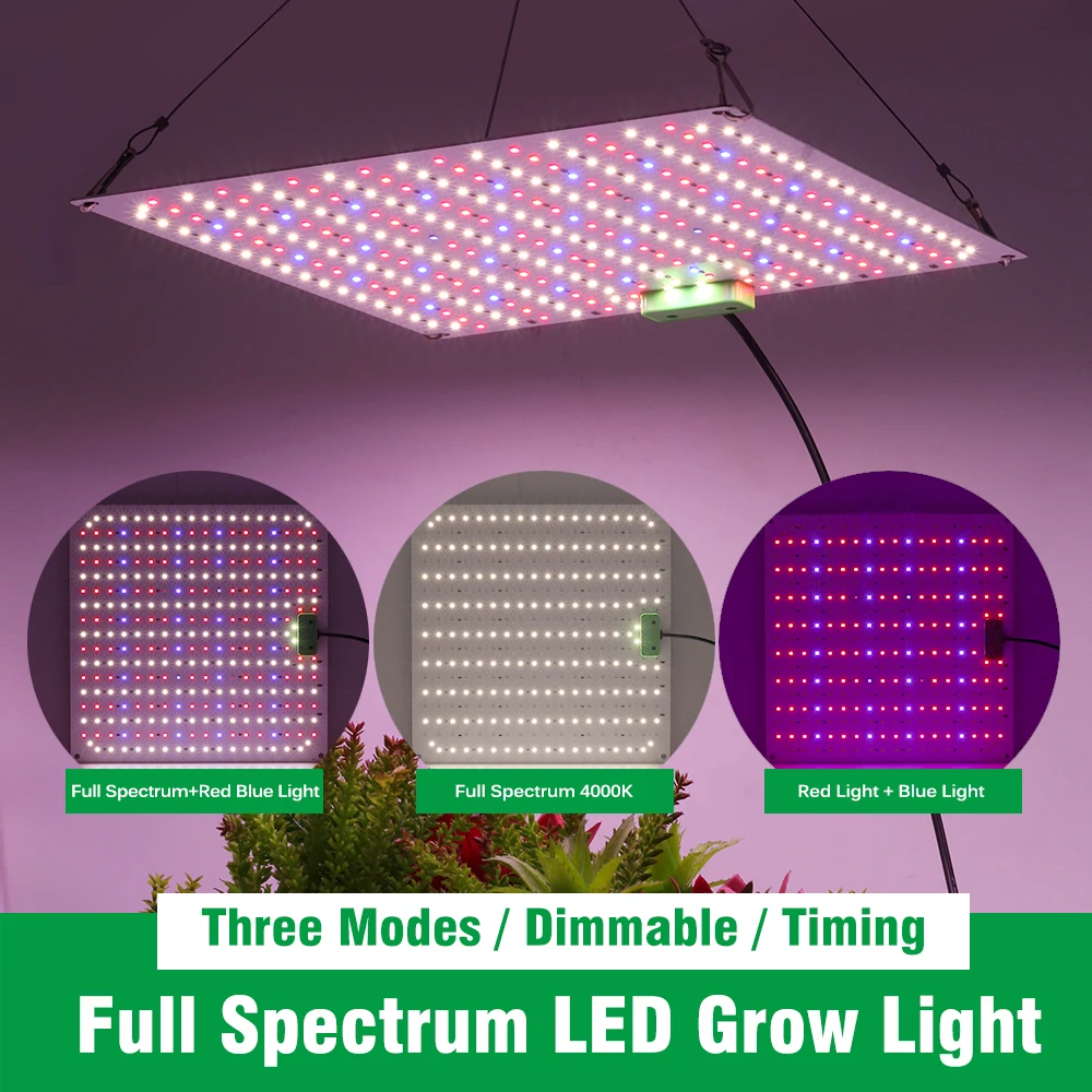 Samsung-Full Spectrum Phytolamp com Dimmable Timing, LED Grow Light, Plantas de Interior, Sementes Estufa Tenda, LM281B, 100-240V