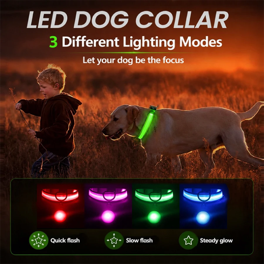 Thumbnail 3 - #1 Latest LED Puppy Collars Updates