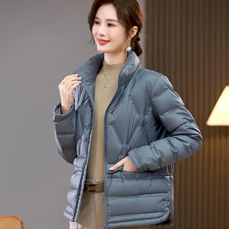 Chaqueta holgada de plumón para mujer con cuello levantado, abrigo informal, prendas de vestir exteriores cálidas, coreana, simple, de gama alta, nieve, mujer, Invierno