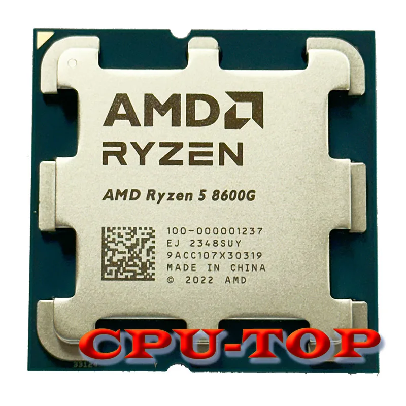 8600G vs 5600G: Which AMD APU Should You Buy for Your Budget