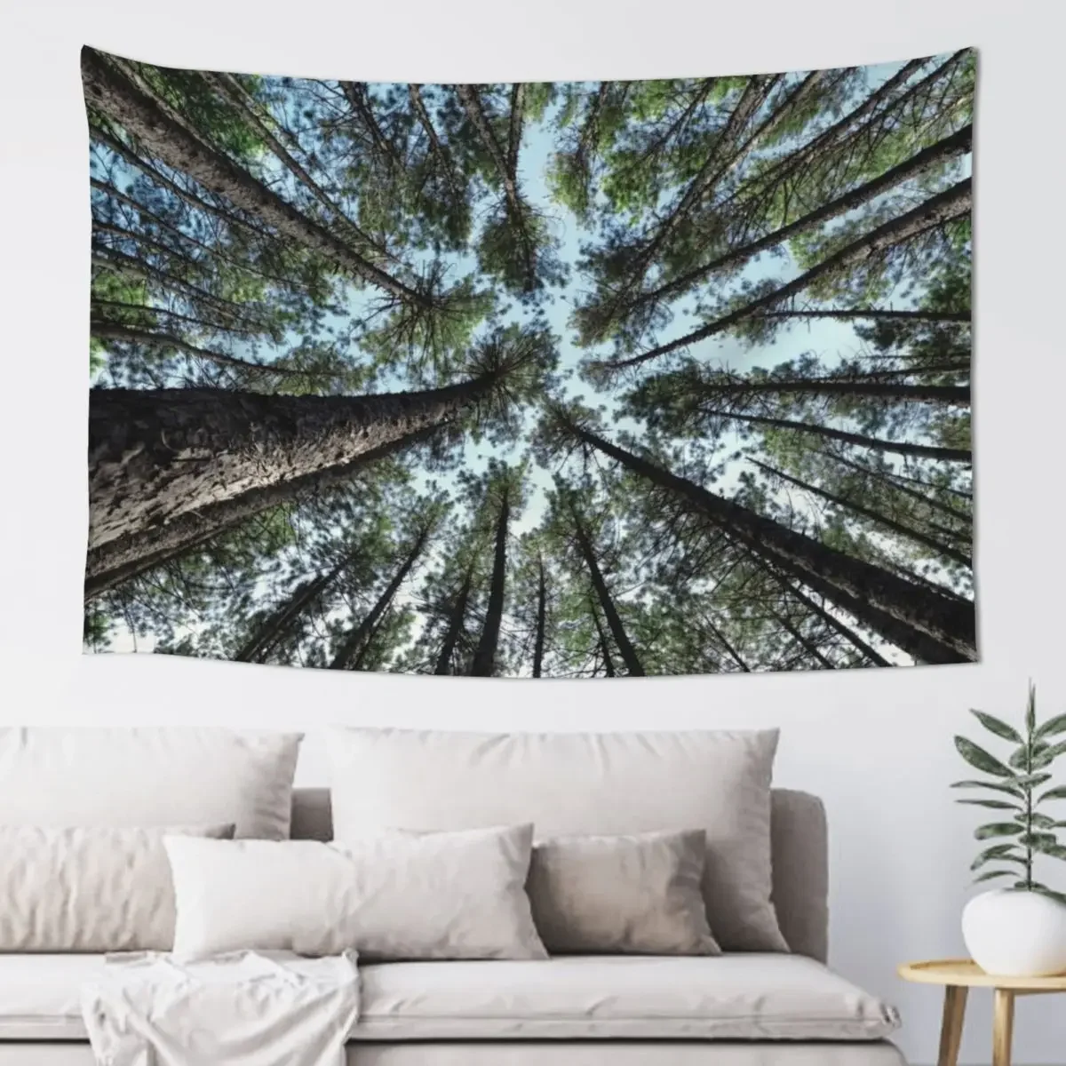 Tree tops of pine forest art photo print Tapestry Bedroom Decorations Room Decorator Decoration Room Tapestry