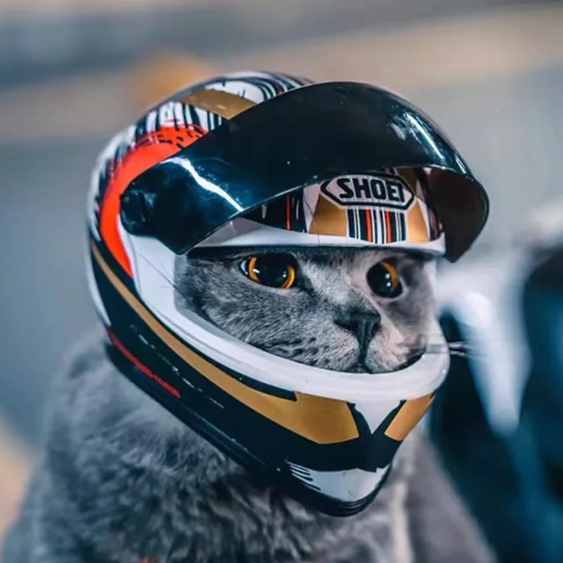 Cat motorcycle helmet meow special pet motorcycle helmet cat dog handsome mini motorcycle hat safety hat