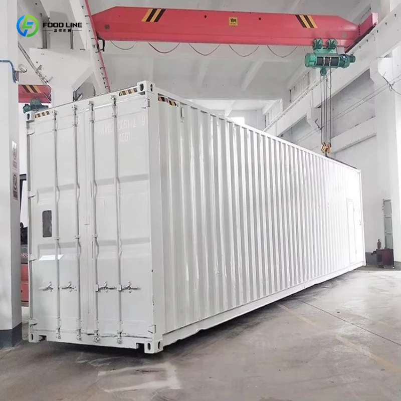 Container Block Ice Machine Salt Water Direct Cool Plant with Engine Gear for High Density Ice Storage