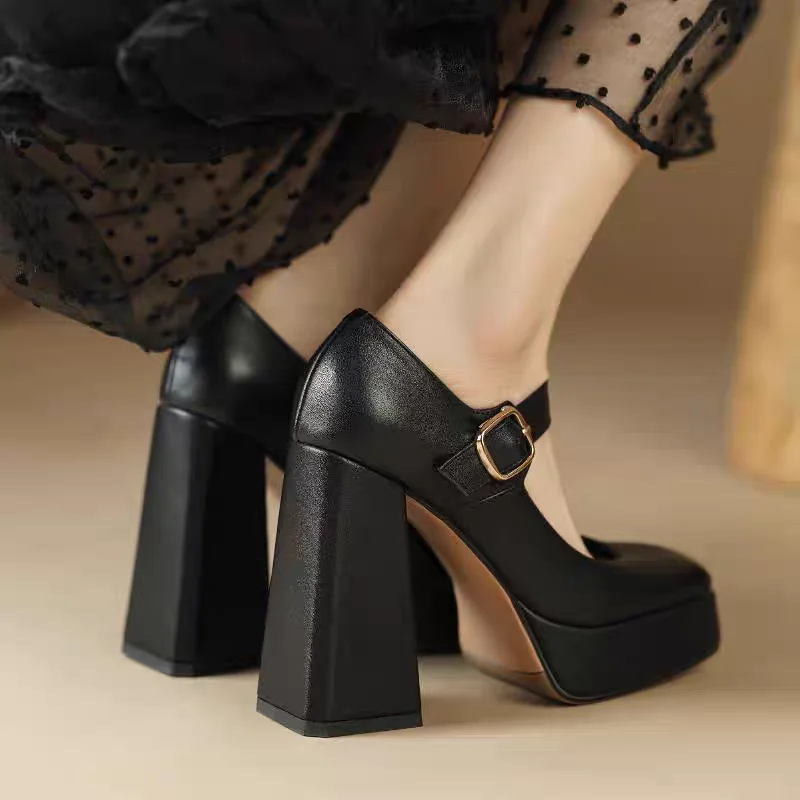 

2024 Sexy Mary Jane New Women High Heels Black Women Pumps Female Platform Spring Thick With Autumn Round Single Shoes