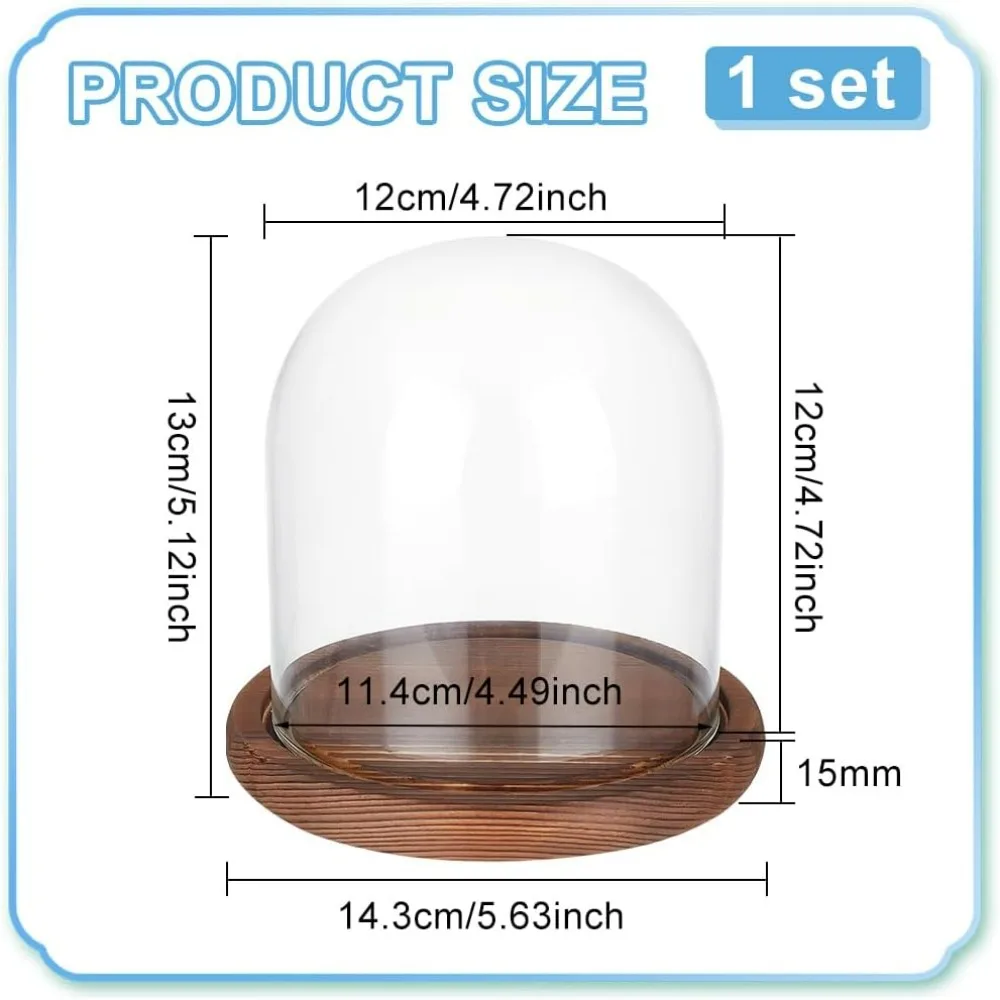 5.5x5inch Eternal Transparent Flower Glass Cover, Cloche Dome Micro Landscape with Solid Wood Base for DIY Flower Craft,