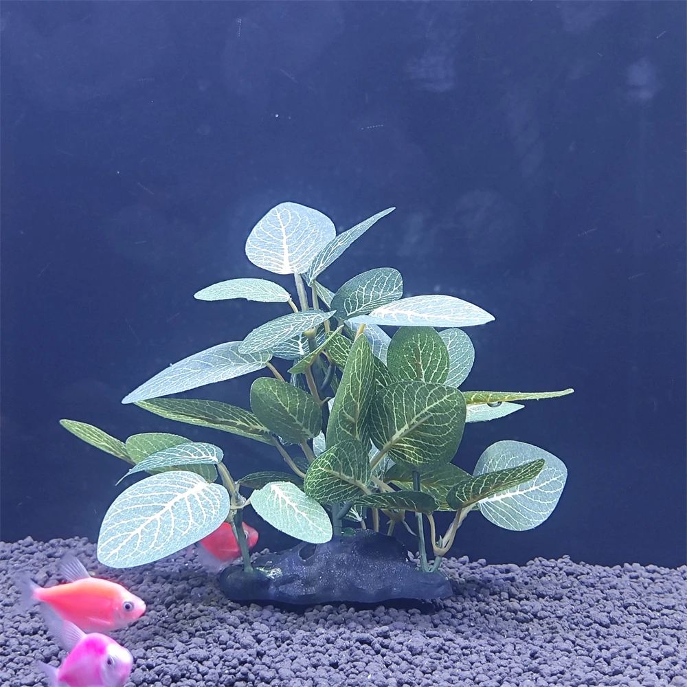 Thumbnail 4 - #38 Trending Decorative Aquarium Plants Right Now