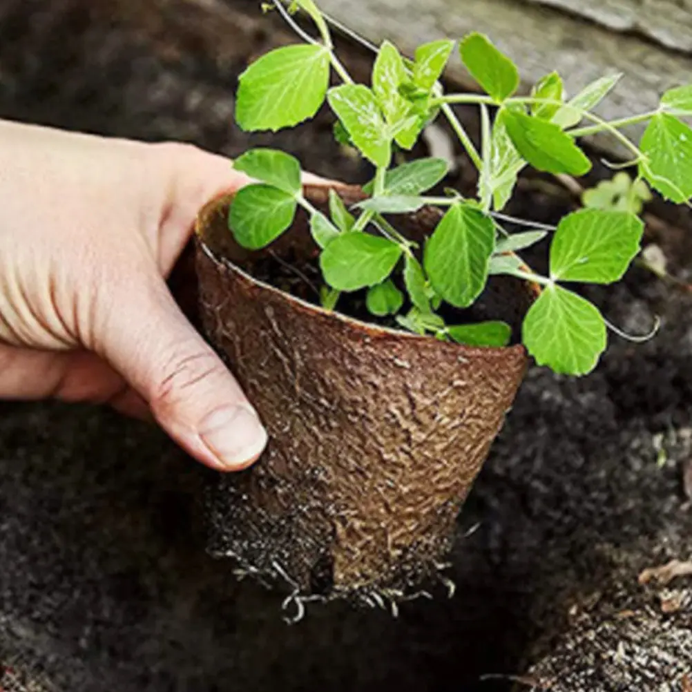 1Set Plant Nursery Cup Seed Starter Pots Lightweight Round Planter for Succulent Cuttings Transplanting Germination Indoor