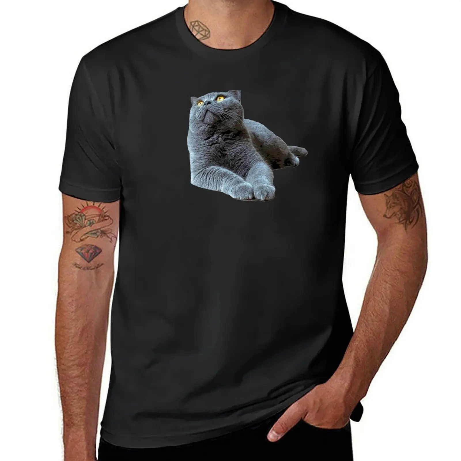 Camiseta de Gato Azul con ojos naranjas para hombre, ropa vintage de anime, ropa linda, camisetas británicas