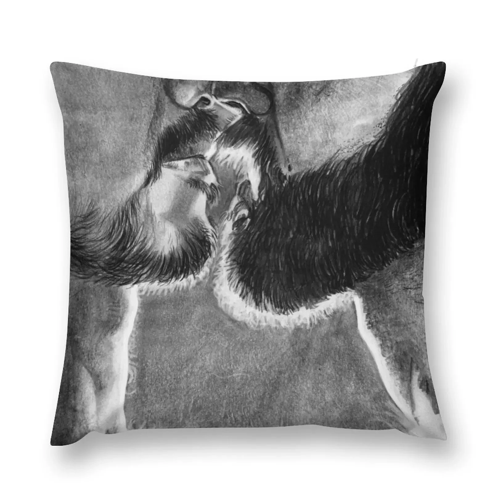 Beards Throw Pillow Sofa Cover Pillow Cases Pillow Cases Decorative Decor