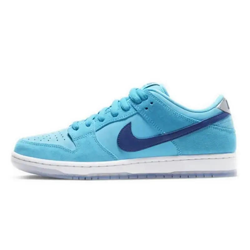 Nike Nike SB Dunk Low Pro 