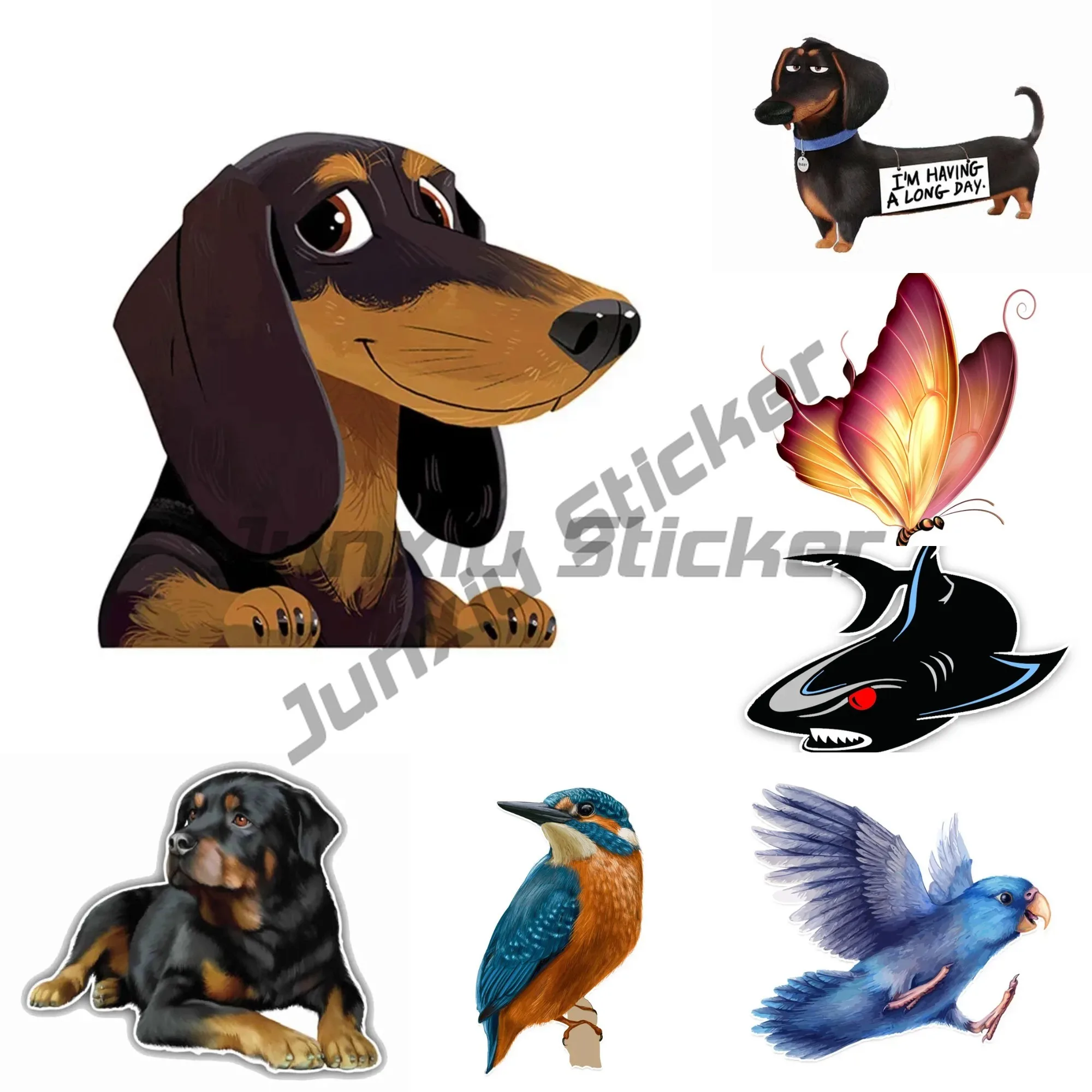 

Car Sticker, Colorful, Windshield Bumper, Motorcycle, High Quality, Multi Size Vinyl Cover, Scratch, Waterproof, PVC