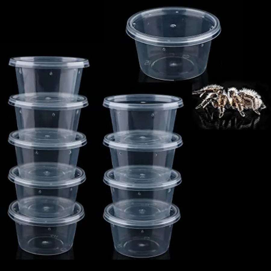 

10 Pcs Spider Terrariums Breeding Box Small Round Hatching Container Acrylic Feeding Box for Spider Scorpion Centipede Insect