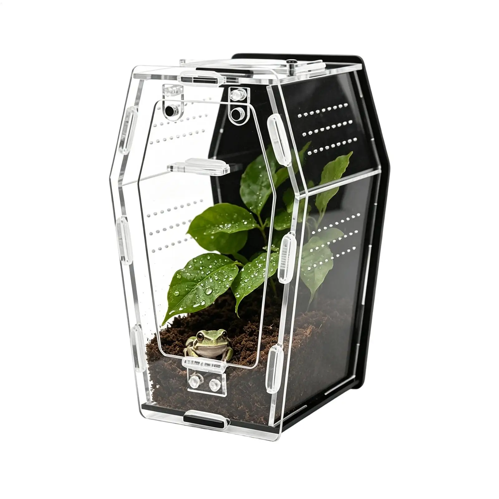 

Snail Terrarium Clear Acrylic Breathable Terrarium Crested Gecko Tank For Pet Lizard Turtle Frog Rhinoceros Amphibian Home Play