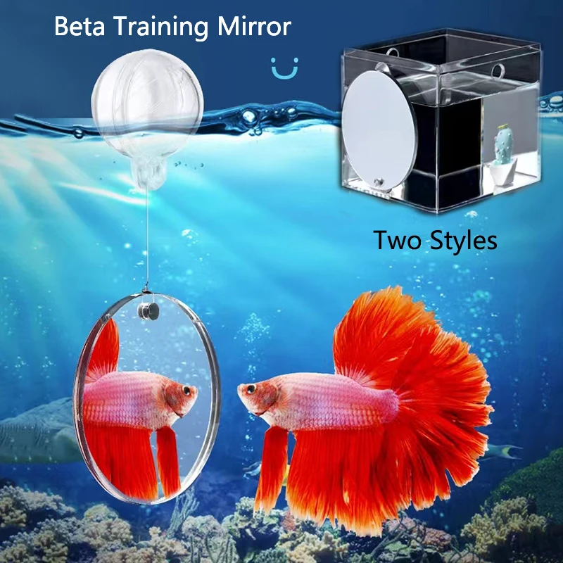 Espejo acrílico para acuario Betta, espejo redondo flotante para pecera, cuerno de flor Betta, entrenamiento ciclido, 4cm/5cm/6cm/7cm/8cm/9cm