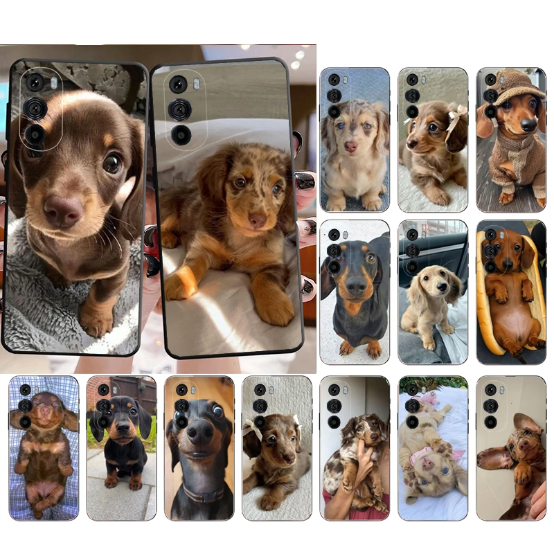 

Phone Case For Motorola Edge 50 40 Pro 60 50 40 30 Ultra Neo Fusion Moto G Play G Stylus G Power G Dachshund Dog