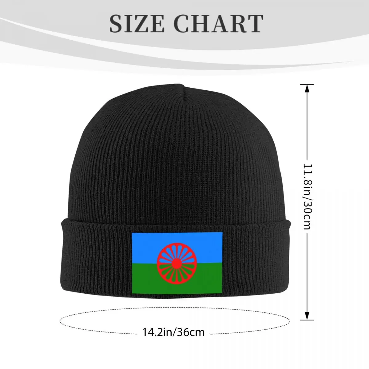 Flag Of The Romani People Knitted Hat Beanie Autumn Winter Hats Warm Unisex Hip-hop Caps for Men Women