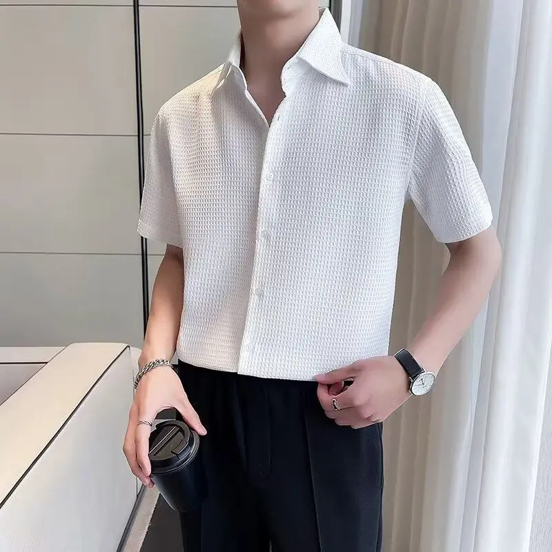

Textured Loose Men's Short Sleeve Shirt Iron-Free Wrinkle-Resistant Spring Autumn Outerwear Standard Fit Polyester ...