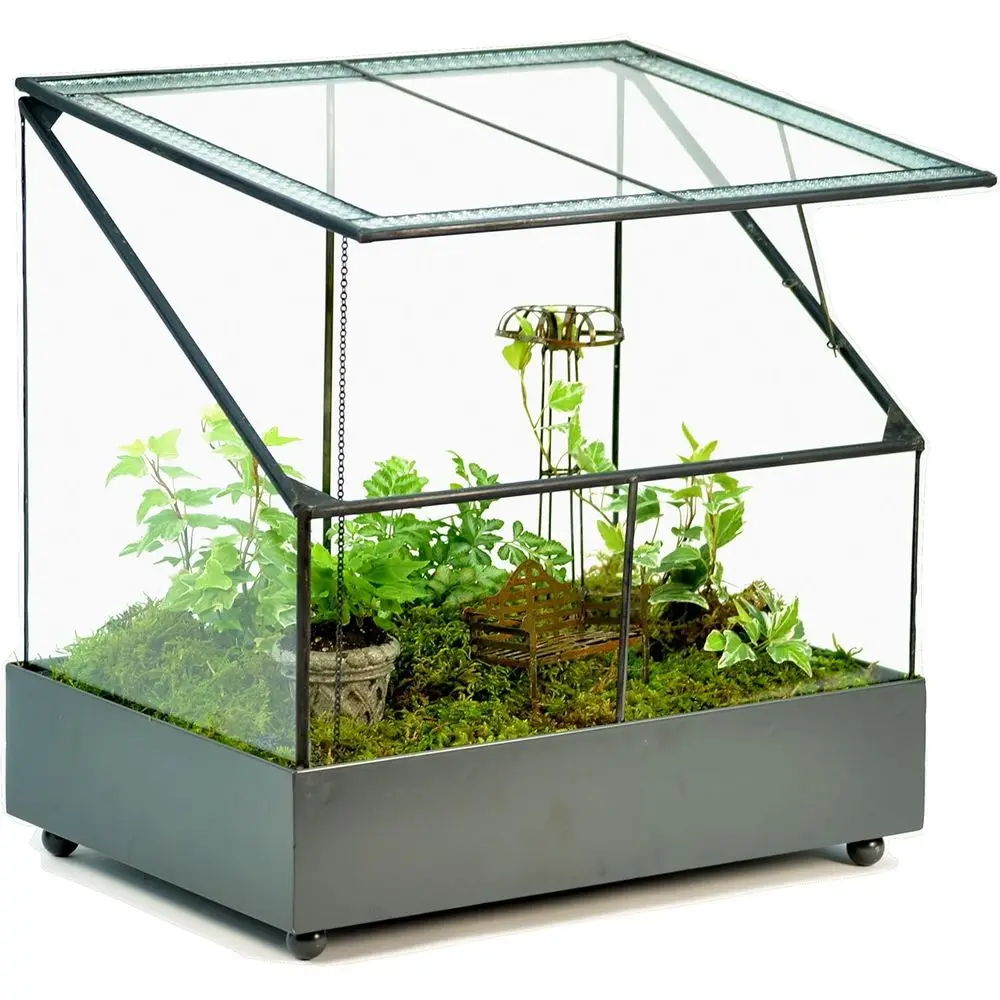 

Предупреждающий футляр, контейнер для растений, сочный горшок, воздушный сад, витрина WAR153