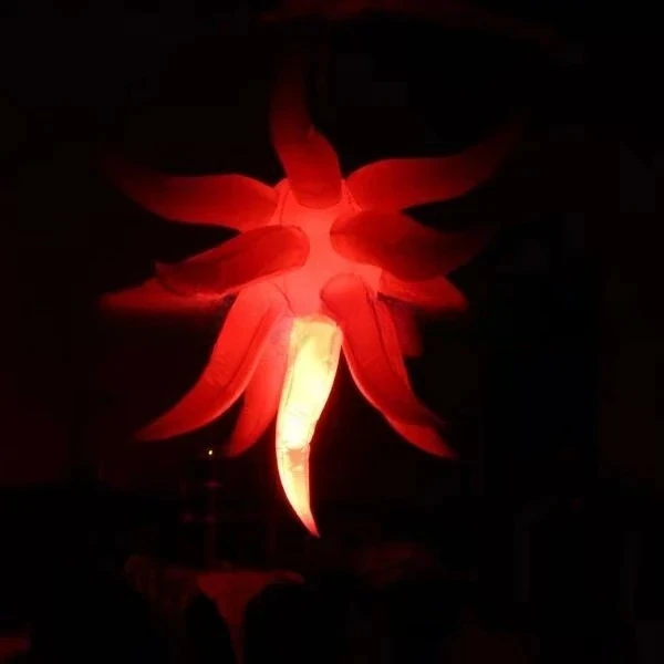 Inflatable Curved Lights and Inflatable Sea Urchin Lights for Weddings and  Parties