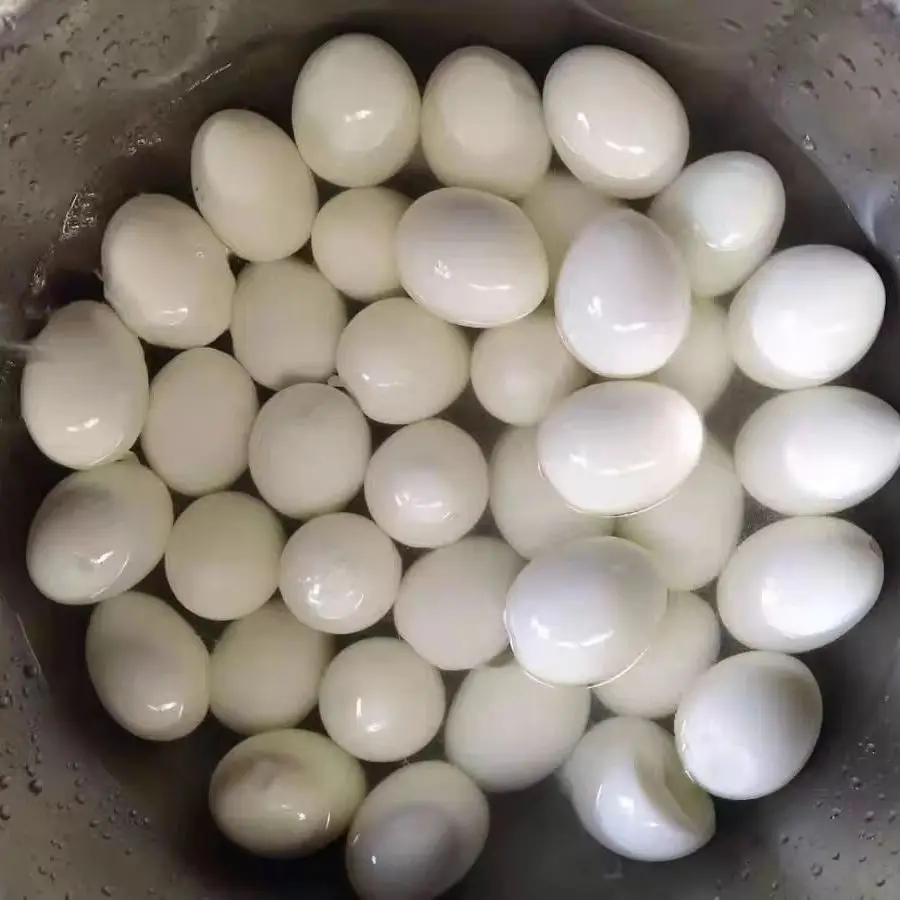 

Commercial Electric Egg Sheller Peeling Machine Stainless Steel Chicken Egg Peeler Machine Egg Shelling Machine