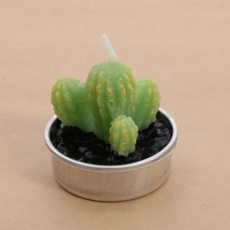 6 Creative Scented Candles in Sets Mini Cactus Meaty Birthday Candle Personalized Instagram Style Smokeless Hand Gift Candle