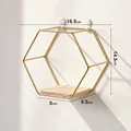 GOLD S