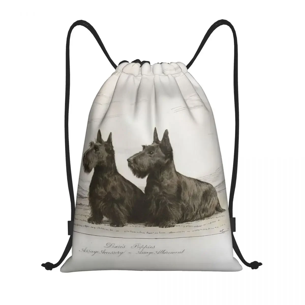 Vintage Scottish Terrier Dog Drawstring Bags Women Men Portable Gym Sports Sackpack Scottie Pet Lover Training Backpacks