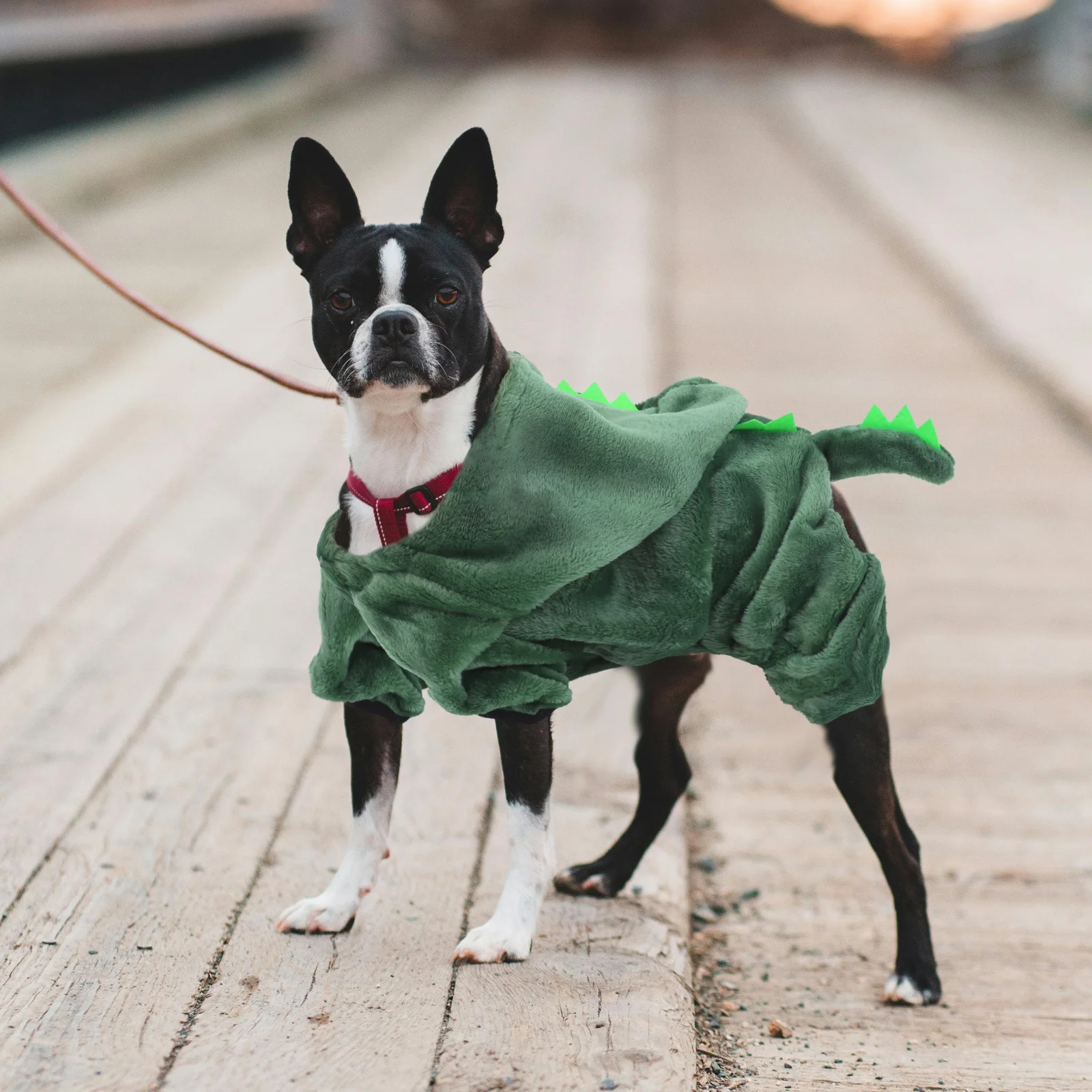 

Warm Pet Clothes Stylish Dog Outfit for Puppies Small Dogs Perfect for Special Occasions Photo Shoots Size Xl Pet Outfit