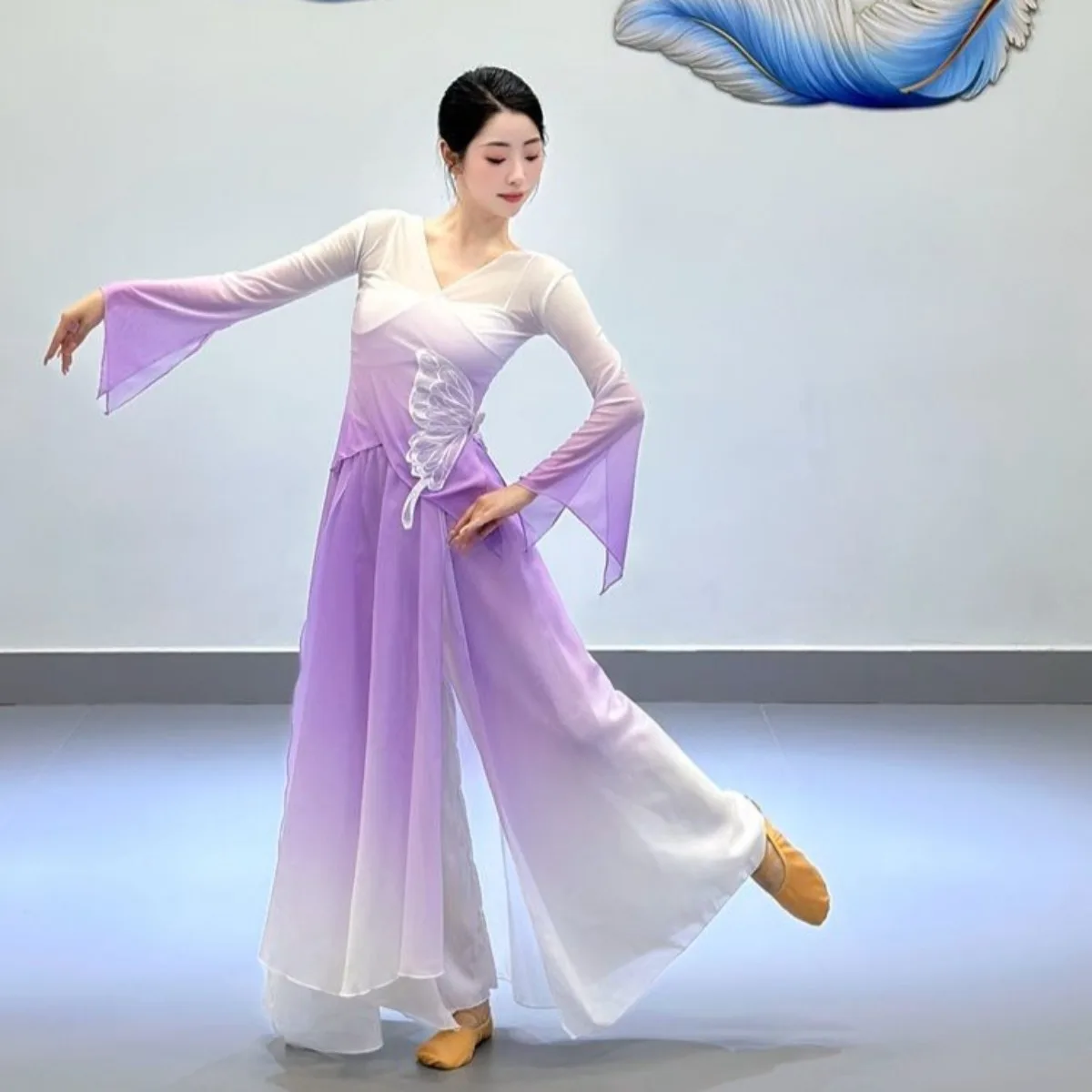 天蝶袖ダンストップ-中国古典舞踊、エーテルトレーニング、ステージ衣装用の流れるようなシースルーブラウス