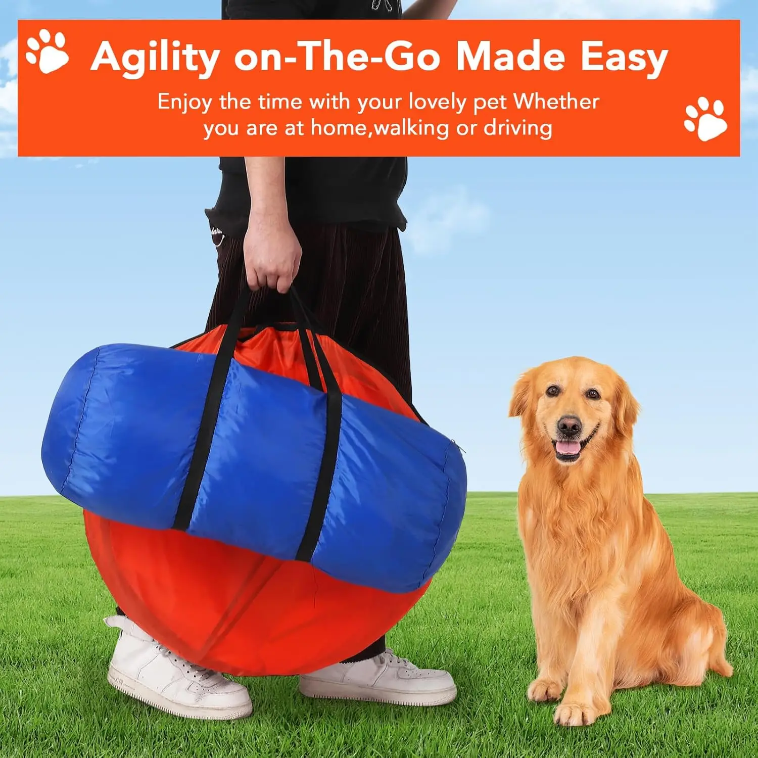 Dog Agility Kit 2