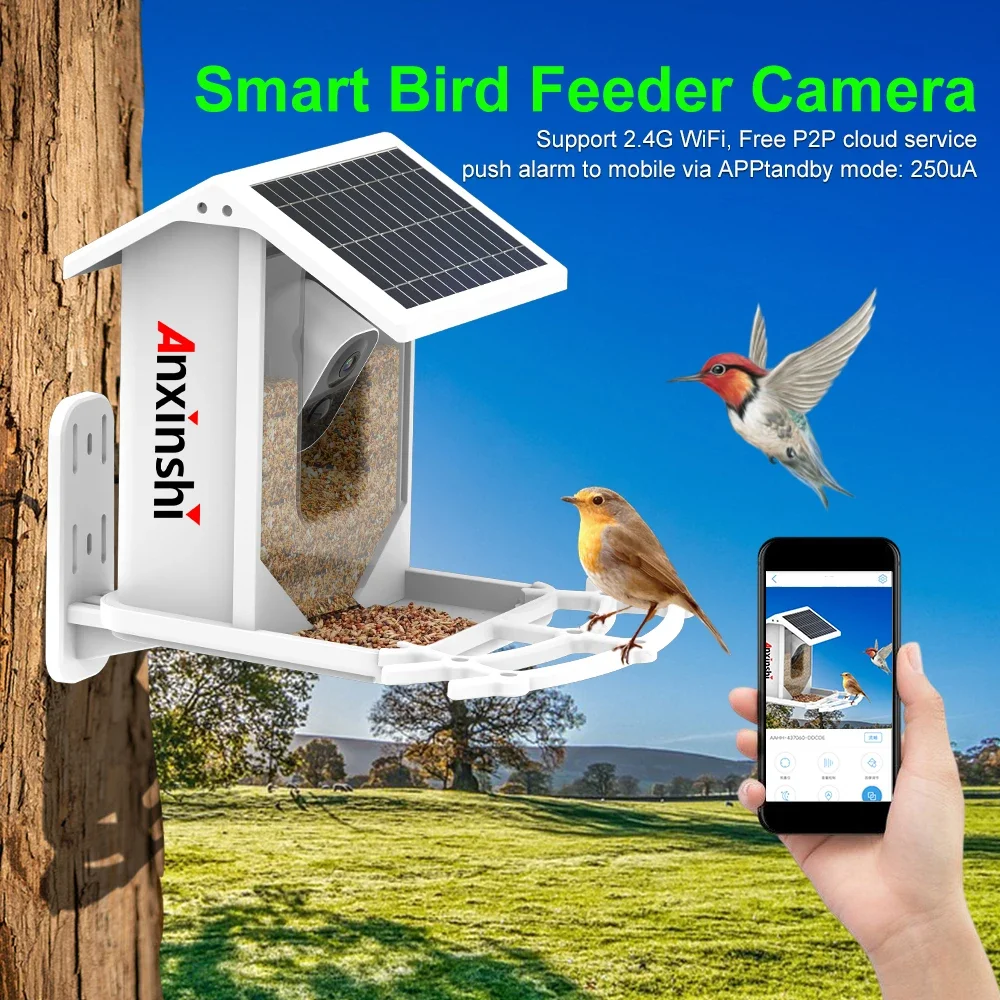 P2P Bird Feeder House IP كاميرا تعمل بالطاقة الشمسية كاميرا 2MP تطبيق ICSee اللاسلكي IP66