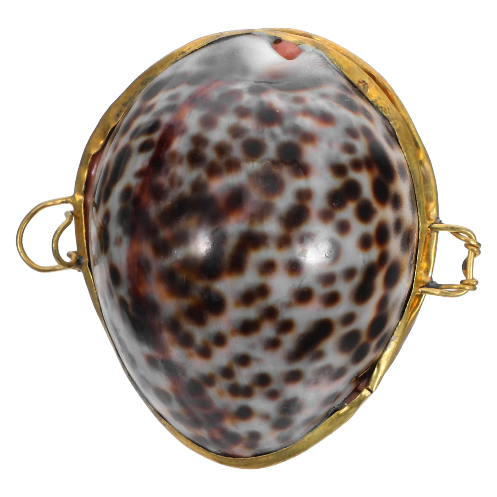 

Shell Jewelry Box Creative Ring Earring Case Gift Packing Boxes Sundries Organizer Sea Style Color Quality For Wedding