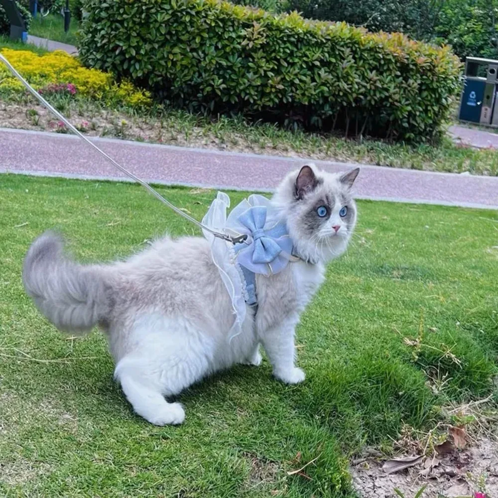 لطيف الأميرة نمط القط تسخير المقود قابل للتعديل النايلون القط سترة تنفس مع Bowknot الحيوانات الأليفة حزام الصدر تبادل لاطلاق النار الصورة