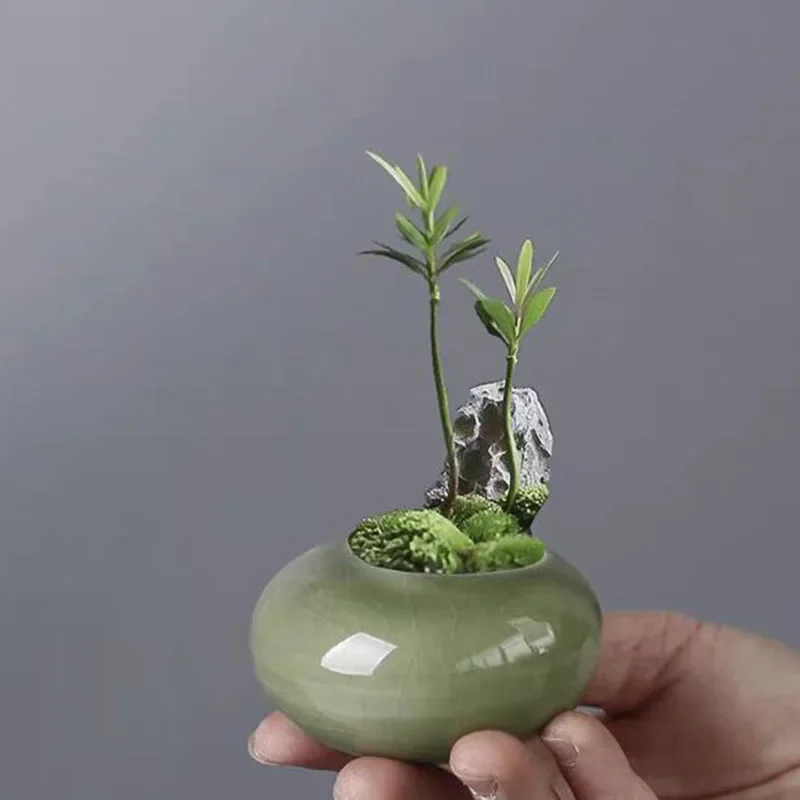 Mini ceramic flower pot, round and flat ice cracked glaze succulent green planters, creative ceramic tabletop decoration